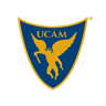 team icon